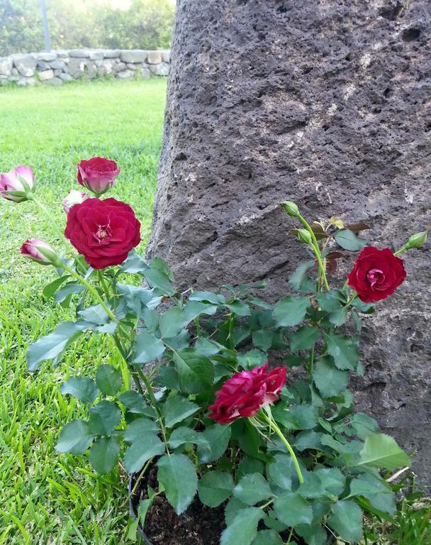 הוילה פיומפרדו די סיציליה Il Giardino Degli Ovali מראה חיצוני תמונה